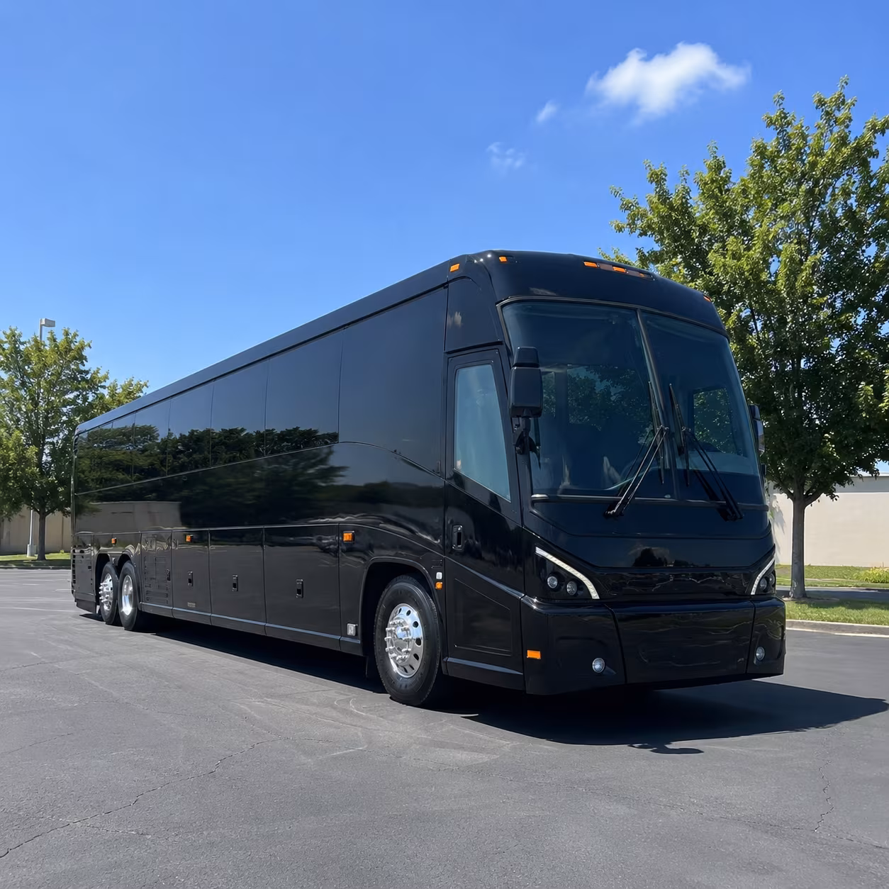 group transportation for mission municipal staff hidalgo county agencies and state offices
