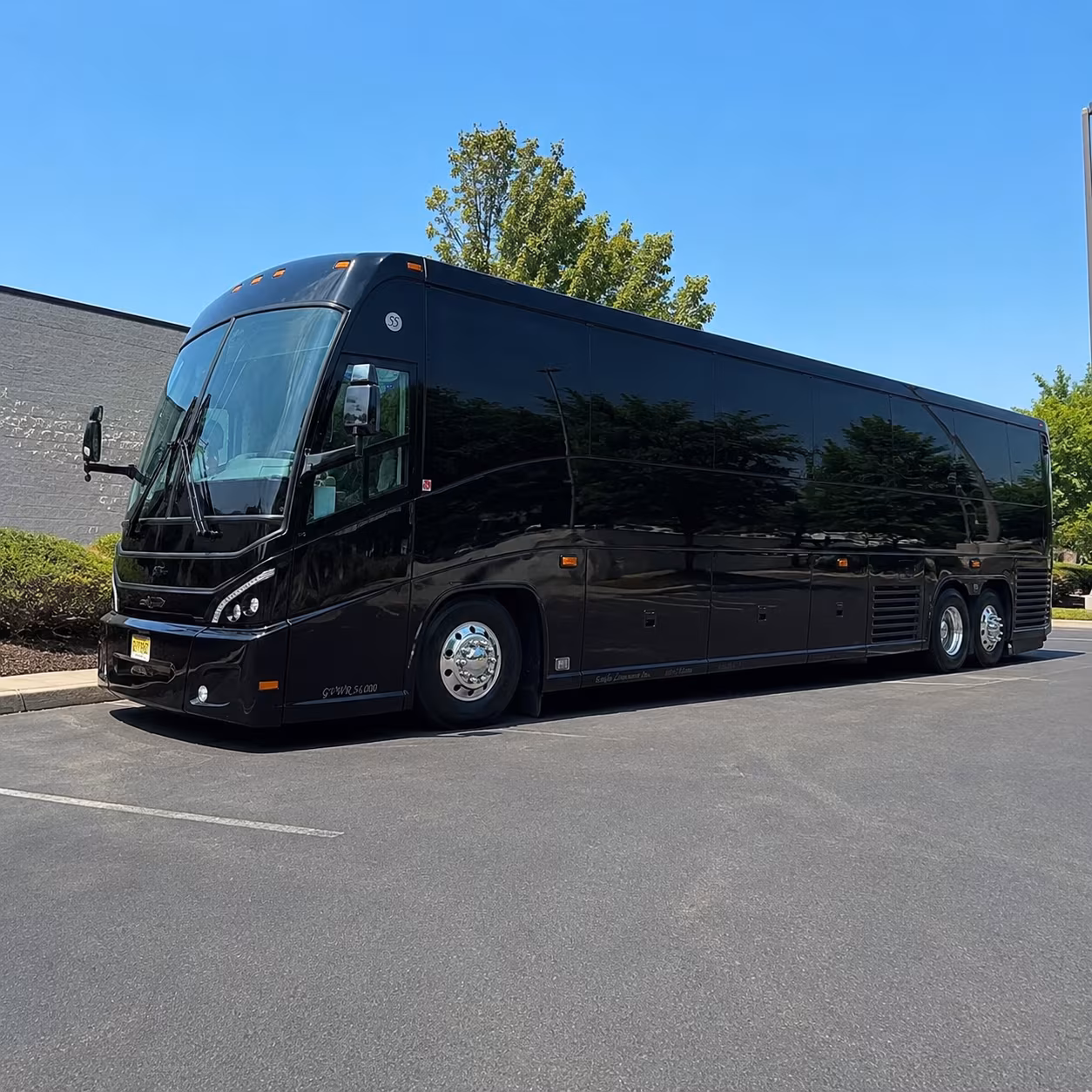 spring break and south padre island group transportation from mission
